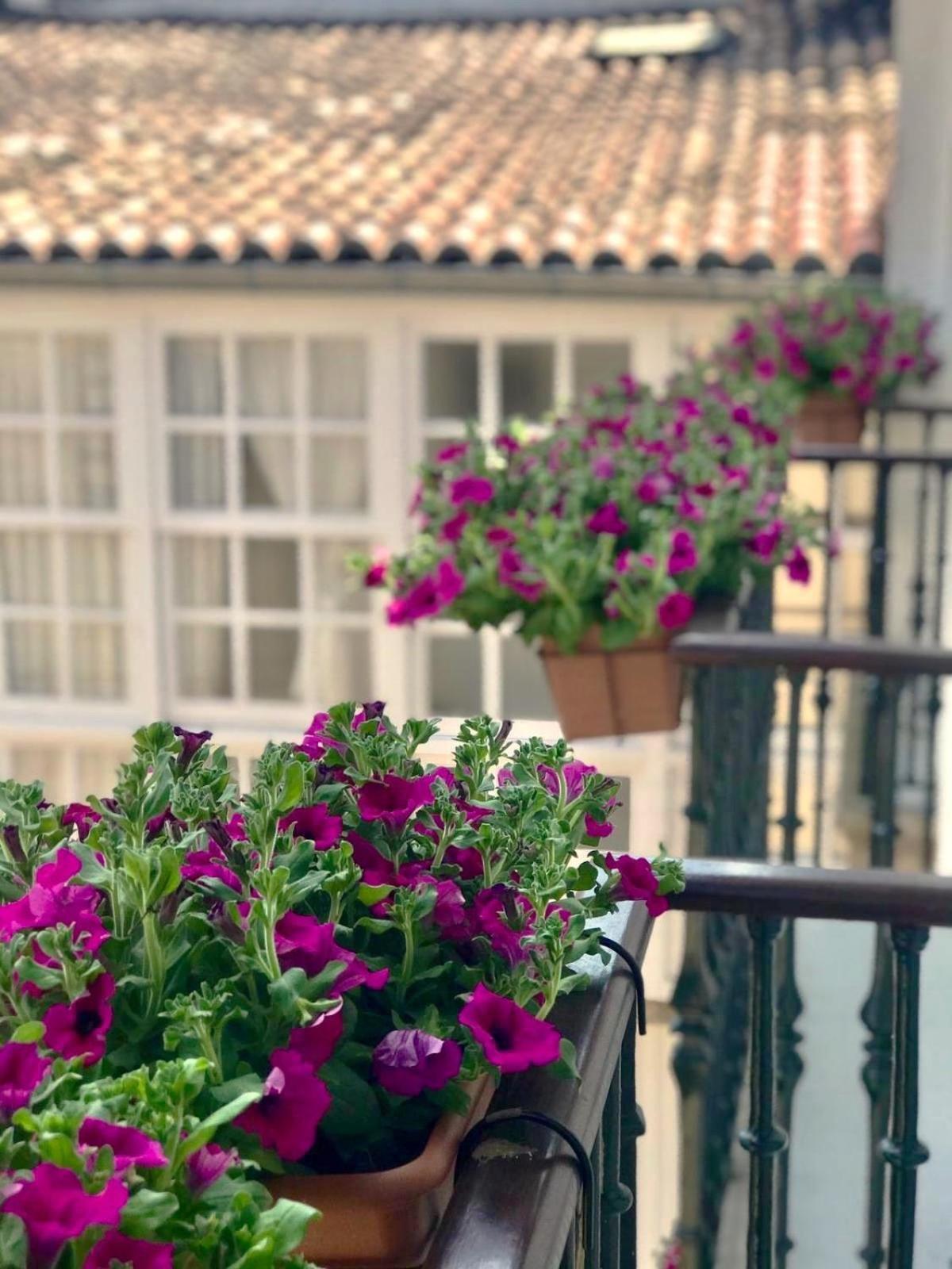 Casa Celsa-barbantes Gasthof 2*