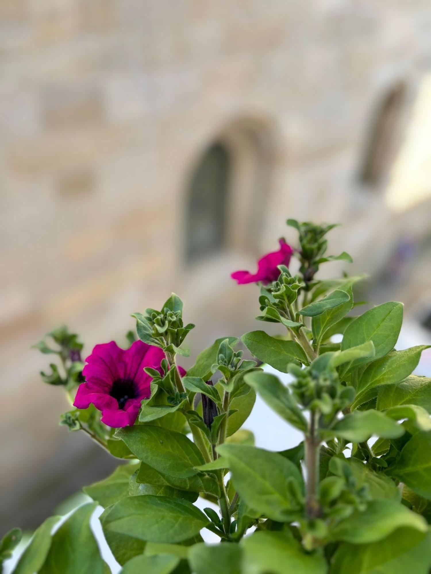 Gasthof Casa Celsa-barbantes Santiago de Compostela